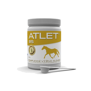 ATLET BS