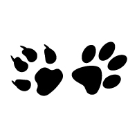 SPECIFIC CGD-XL Senior Large & Giant Breed 4 kg